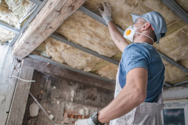 Best Types of Insulation in Spring Valley, IL