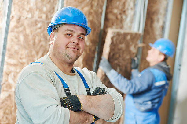 Best Insulation Materials and Products in Spring Valley, IL