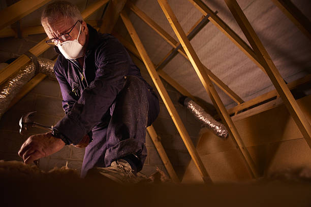 Best Insulation Installation Services in Spring Valley, IL